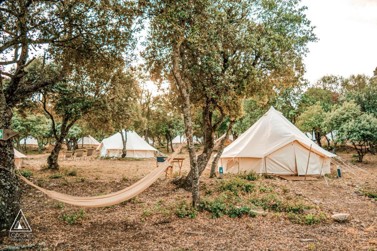 Hotel Lodg'Ing Nature Camp Luberon Saint-Michel-lʼObservatoire Exterior foto